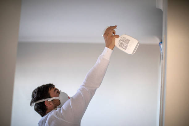 Best Toxic Mold Removal  in Hidden Valley, IN
