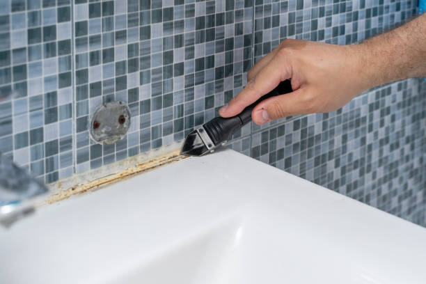 Best Attic Mold Removal  in Hidden Valley, IN