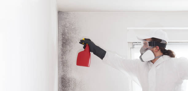 Mold Removal and Inspection in Hidden Valley, IN